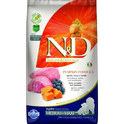 N&D Grain Free Pumpkin Dog Puppy M/L Lamb & Blueberry 3 x 12 kg